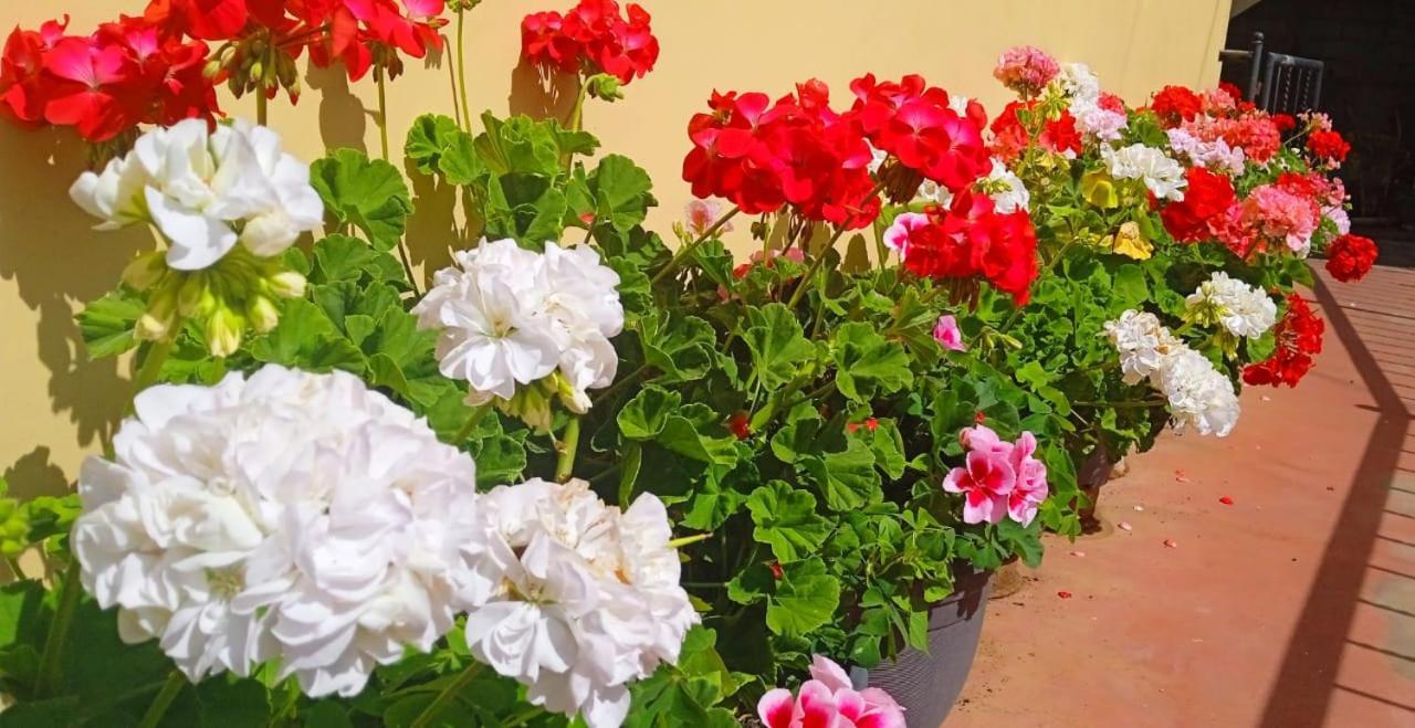 Shevyhaws Hotel Nuwara Eliya Luaran gambar